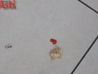 Galleria fotografica di MerfePhoto Galleria fotografica di MerfePhoto