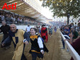 Le foto della cerimonia della bandiera e del giubilo in pista (Merphefoto) Le foto della cerimonia della bandiera e del giubilo in pista (Merphefoto)