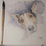 Disegno di Francesca Semeraro