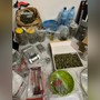 La droga e il materiale per il confezionamento posto sotto sequestro