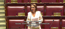 L'On. Ruffino ritratta nel corso del suo intervento alla Camera dei Deputati