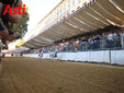 Le foto della cerimonia della bandiera e del giubilo in pista (Merphefoto) Le foto della cerimonia della bandiera e del giubilo in pista (Merphefoto)