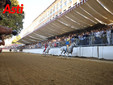 Le foto della cerimonia della bandiera e del giubilo in pista (Merphefoto) Le foto della cerimonia della bandiera e del giubilo in pista (Merphefoto)