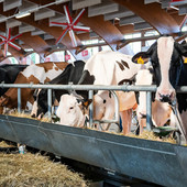Un convegno sull'uso dei droni chiude domani la Mostra della Meccanica agricola di Saluzzo Un convegno sull'uso dei droni chiude domani la Mostra della Meccanica agricola di Saluzzo