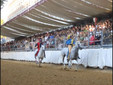 Le foto della cerimonia della bandiera e del giubilo in pista (Merphefoto) Le foto della cerimonia della bandiera e del giubilo in pista (Merphefoto)
