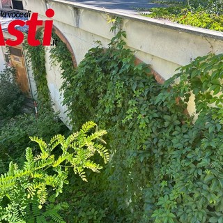 &quot;Uniti si può&quot; torna a sollecitare interventi nell'area delle Antiche Mura [GALLERIA FOTOGRAFICA]