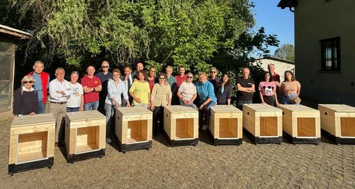 Un grande gesto d'amore per i nostri amici a quattro zampe