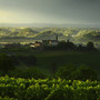 Estate nell'Astigiano ripresa dal grande Enzo Isaia