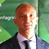 DL Bollette, Confagricoltura lancia l’allarme: a rischio il comparto biogas e biomasse agricole