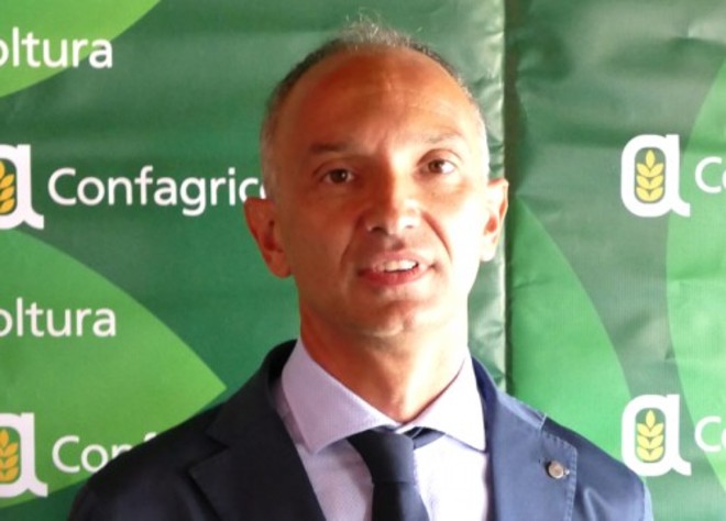 DL Bollette, Confagricoltura lancia l’allarme: a rischio il comparto biogas e biomasse agricole