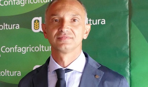 Enrico Allasia, presidente di Confagricoltura Piemonte