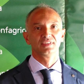 DL Bollette, Confagricoltura lancia l’allarme: a rischio il comparto biogas e biomasse agricole