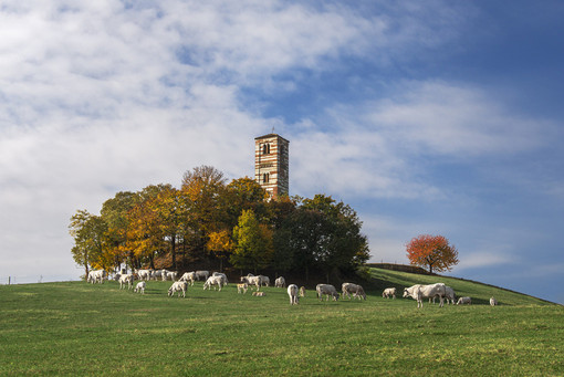 Emissioni di metano attorno al romanico dei santi Nazario e Celso