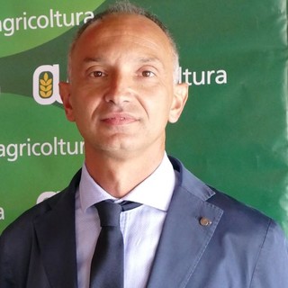 Enrico Allasia, presidente regionale di Confagricoltura Piemonte