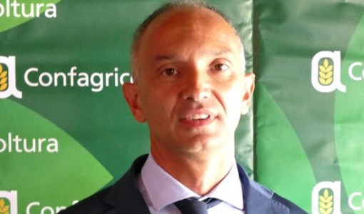 DL Bollette, Confagricoltura lancia l’allarme: a rischio il comparto biogas e biomasse agricole