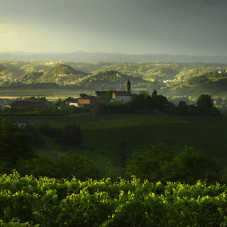Estate nell'Astigiano ripresa dal grande Enzo Isaia