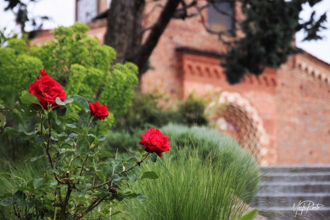 A Viatosto cresce la preoccupazione per la sicurezza: il consigliere Malandrone chiede un intervento condiviso A Viatosto cresce la preoccupazione per la sicurezza: il consigliere Malandrone chiede un intervento condiviso