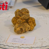 Galleria fotografica a cura di Merfephoto - Efrem Zanchettin