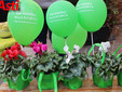 Fotogallery di MerfePhoto