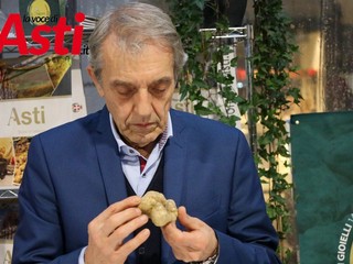 Galleria fotografica a cura di Merfephoto - Efrem Zanchettin Galleria fotografica a cura di Merfephoto - Efrem Zanchettin