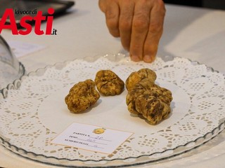 Galleria fotografica a cura di Merfephoto - Efrem Zanchettin Galleria fotografica a cura di Merfephoto - Efrem Zanchettin