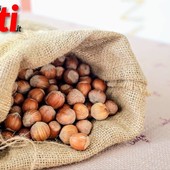Fiera della Nocciola di Castagnole delle Lanze (ph.MerfePhoto)