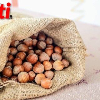 Fiera della Nocciola di Castagnole delle Lanze (ph.MerfePhoto)