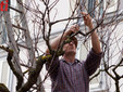 Fotogallery di FIlippo Rozzino Fotogallery di FIlippo Rozzino
