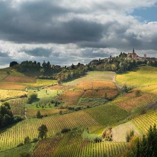Foliage tra le colline vitate di Castel Rocchero