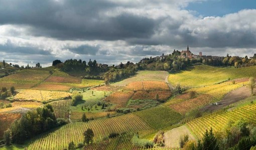 Ripristino della natura, scadenza il 9 giugno: appello dal territorio agli enti locali astigiani