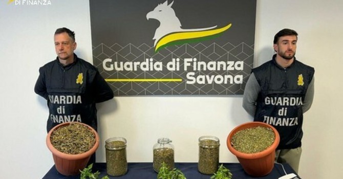 Astigiano arrestato dalla Finanza di Savona: trovato in possesso di oltre 3 chili di marijuana Astigiano arrestato dalla Finanza di Savona: trovato in possesso di oltre 3 chili di marijuana