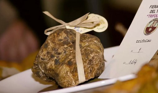 Fiera internazionale del Tartufo Bianco di Murisengo Monferrato