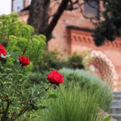 A Viatosto cresce la preoccupazione per la sicurezza: il consigliere Malandrone chiede un intervento condiviso