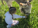 Family Experience tra natura e animali di Asintrekking