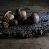Alcuni degli scatti di Edvinas Dragoni presenti in mostra