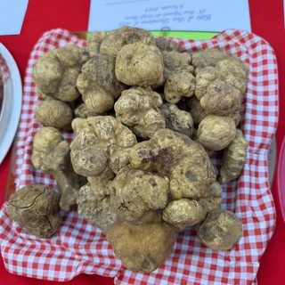 San Damiano, il tartufo guarda a dicembre: slitta di un mese la Fiera nazionale del Bianco