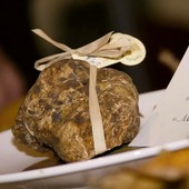 Fiera internazionale del Tartufo Bianco di Murisengo Monferrato