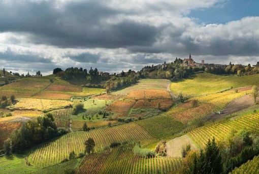 Foliage tra le colline vitate di Castel Rocchero Foliage tra le colline vitate di Castel Rocchero