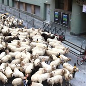 A Cuneo è il weekend del festival della Montagna