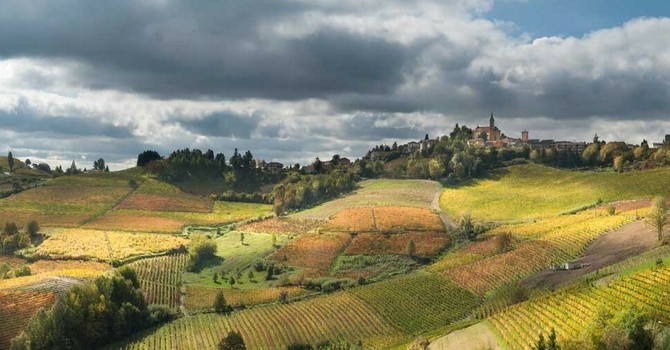 Ripristino della natura, scadenza il 9 giugno: appello dal territorio agli enti locali astigiani Ripristino della natura, scadenza il 9 giugno: appello dal territorio agli enti locali astigiani