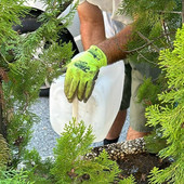 Il lavoro alle fioriere iniziato dai consiglieri di minoranza