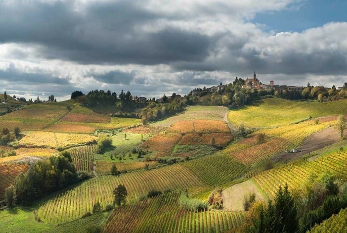 Foliage tra le colline vitate di Castel Rocchero