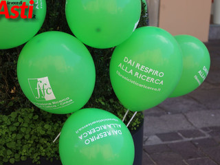 Fotogallery di MerfePhoto