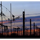 MerfePhoto MerfePhoto