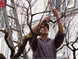 Fotogallery di FIlippo Rozzino Fotogallery di FIlippo Rozzino