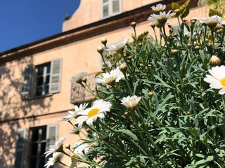 Alcune immagini della casa