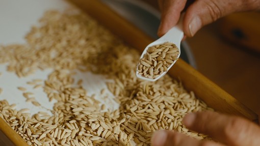 Agroalimentare, Risso: “Agricoltori e trasportatori condividono le stesse difficoltà. Tutelare l’intera filiera” Agroalimentare, Risso: “Agricoltori e trasportatori condividono le stesse difficoltà. Tutelare l’intera filiera”