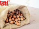 Fiera della Nocciola di Castagnole delle Lanze (ph.MerfePhoto)