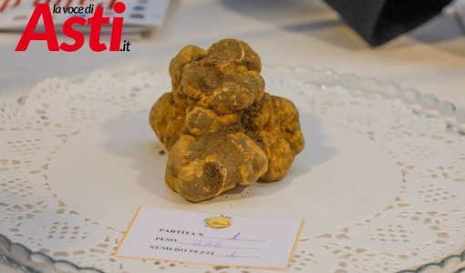 Galleria fotografica a cura di Merfephoto - Efrem Zanchettin Galleria fotografica a cura di Merfephoto - Efrem Zanchettin