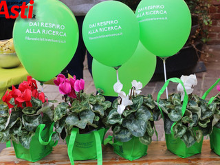 Fotogallery di MerfePhoto